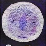 Libro: ¿A qué sabe la luna?
Autor e ilustrador: Michael Grejniec
Editorial: Kalandraka
Edad recomendada: 3-6 año